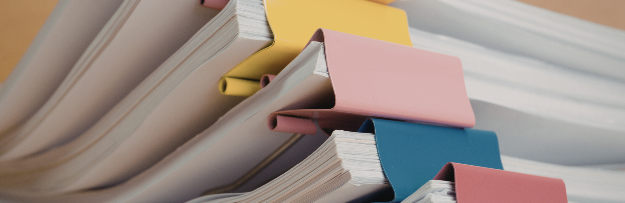 Imigrantes organizados constroem riqueza